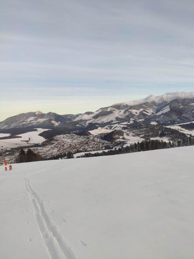 Western Tatras Slovakia Oravsky Biely Potok 外观 照片