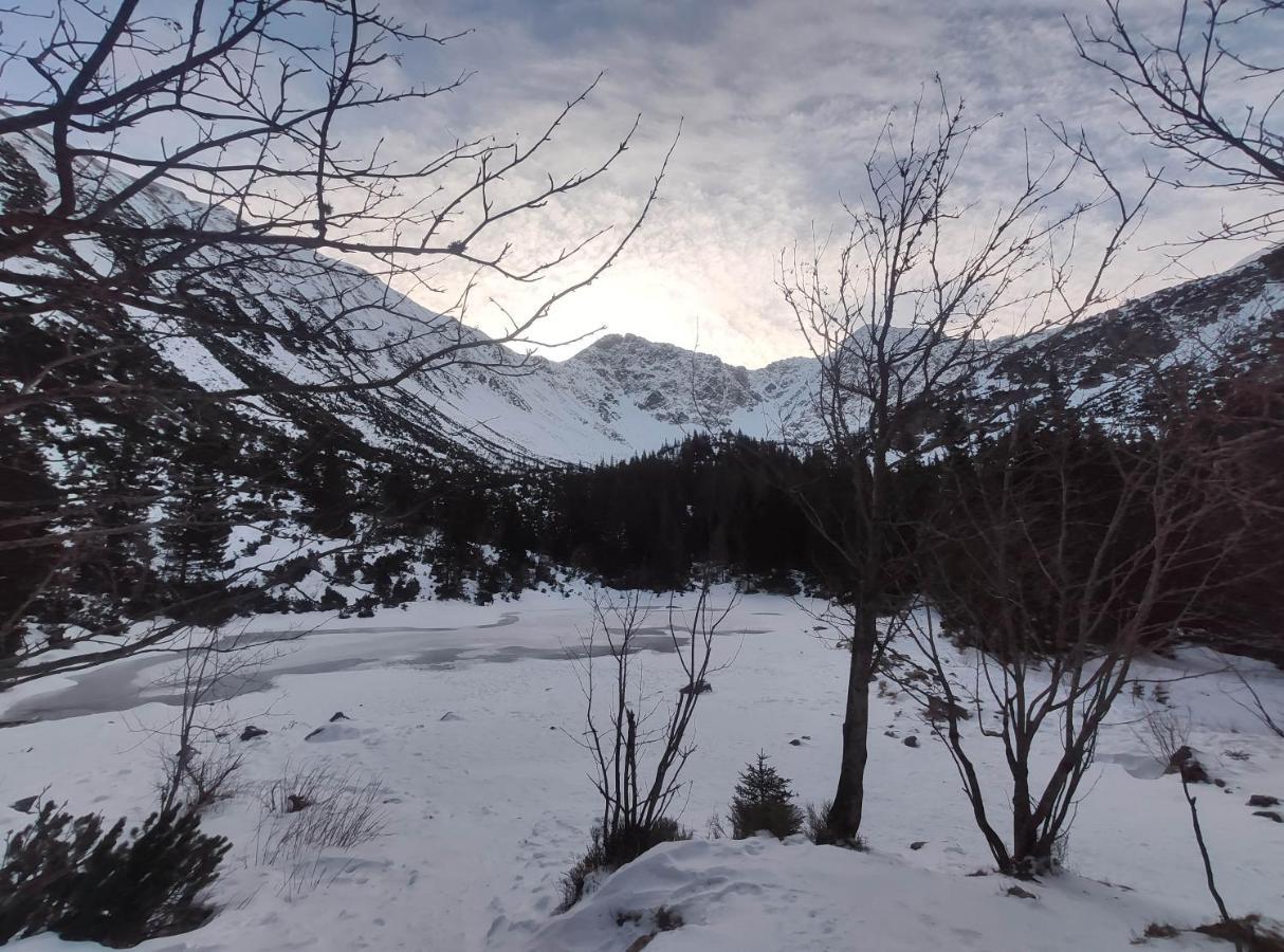 Western Tatras Slovakia Oravsky Biely Potok 外观 照片