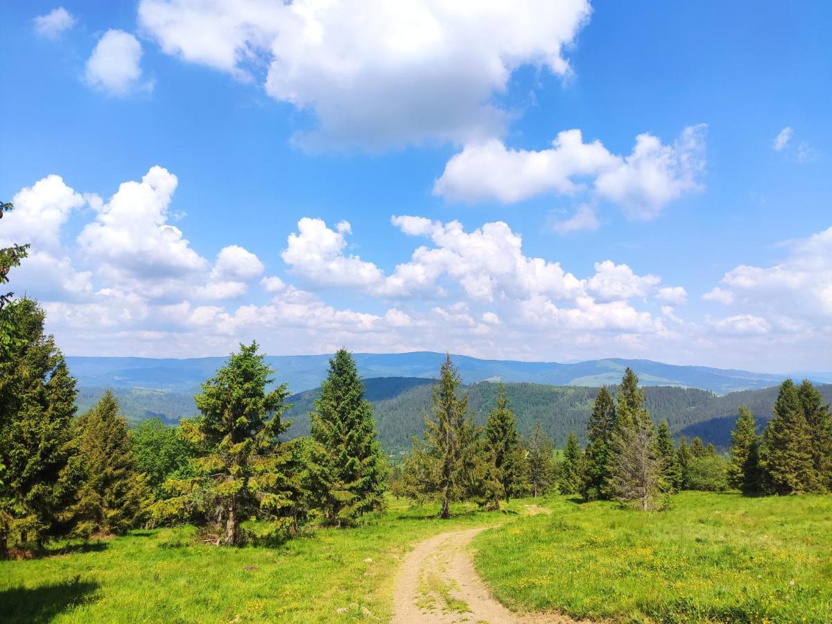 Western Tatras Slovakia Oravsky Biely Potok 外观 照片