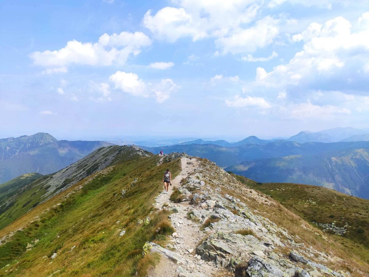 Western Tatras Slovakia Oravsky Biely Potok 外观 照片